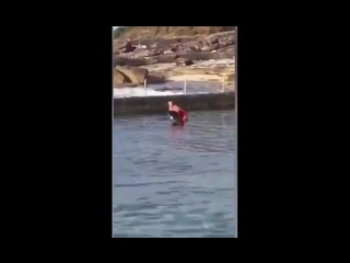 Melissa hatheier filmed wrestling shark in cronulla ocean pool