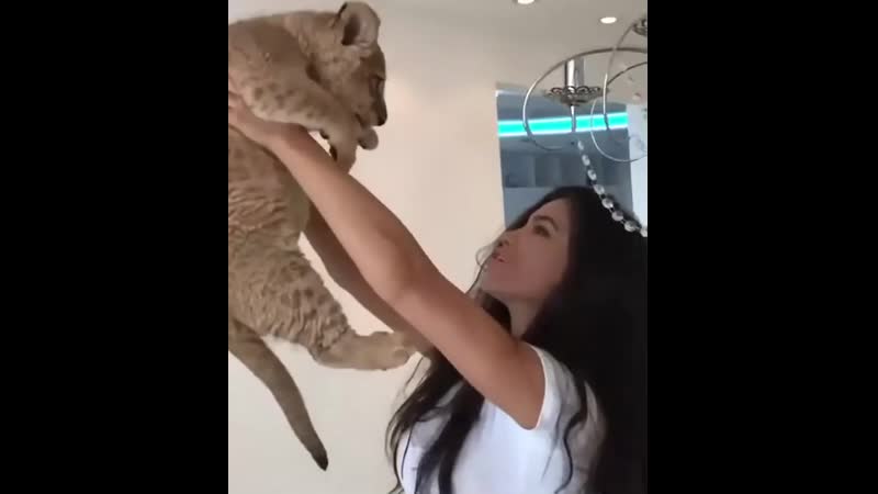 Hakuna matata золотой дождик