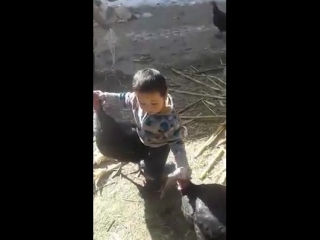 Молодой рефери