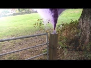 Violet smoke porn(фиолетовый)