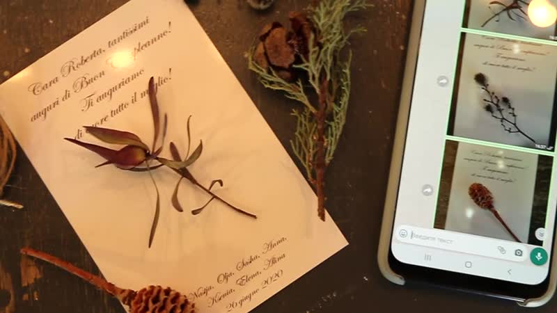 Лаа цветов зеленогорск