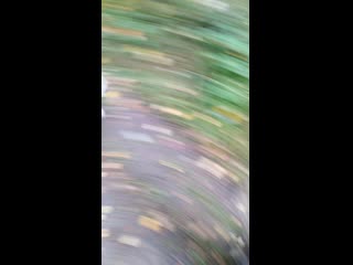 Vid 20200921 114617 mp4