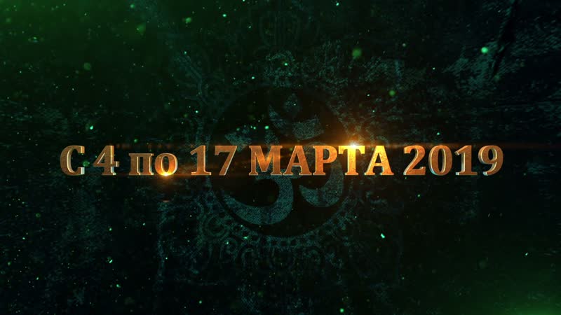 Rishikesh cat shanti 2019