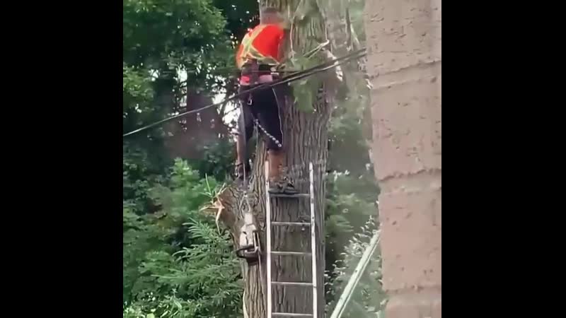 На волоске от смерти