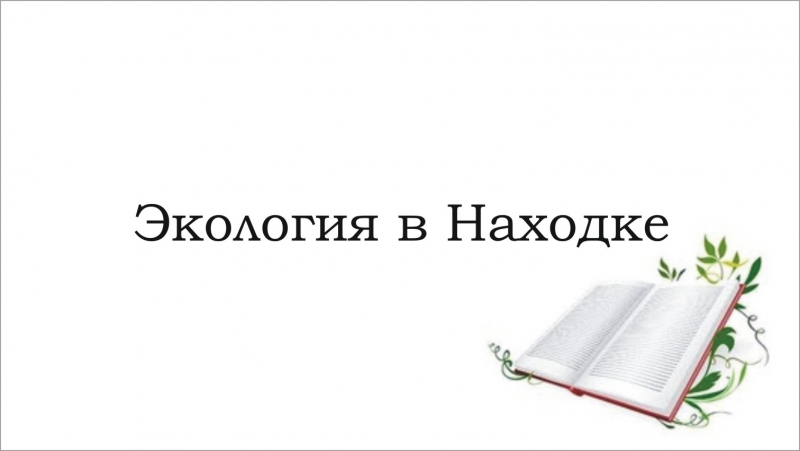 Экологические проблемы в находке