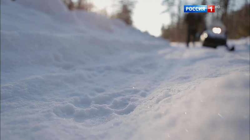 Амурский тигр путь к священной горе (2016)