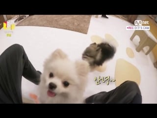 [today′s room] got7s unreleased video at pet room! 150812 ep 3