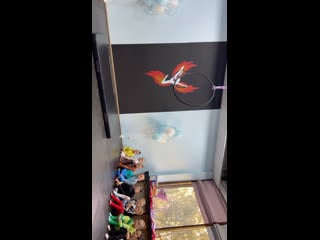 Live воздушная гимнастика «птица сибири»