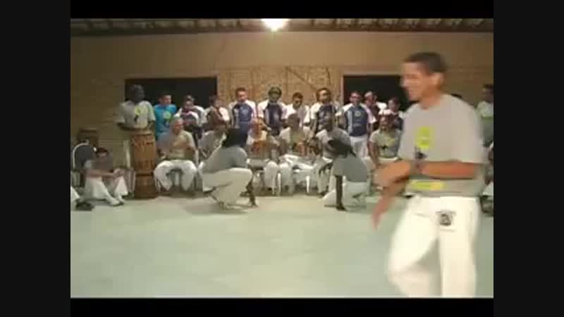 Mestre cobra mansa and mestre jogo de dentro