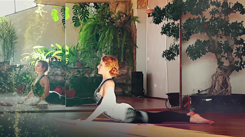 Sls комплекс кошка снимаем напряжение и боль в спине оздоровление позвоночника