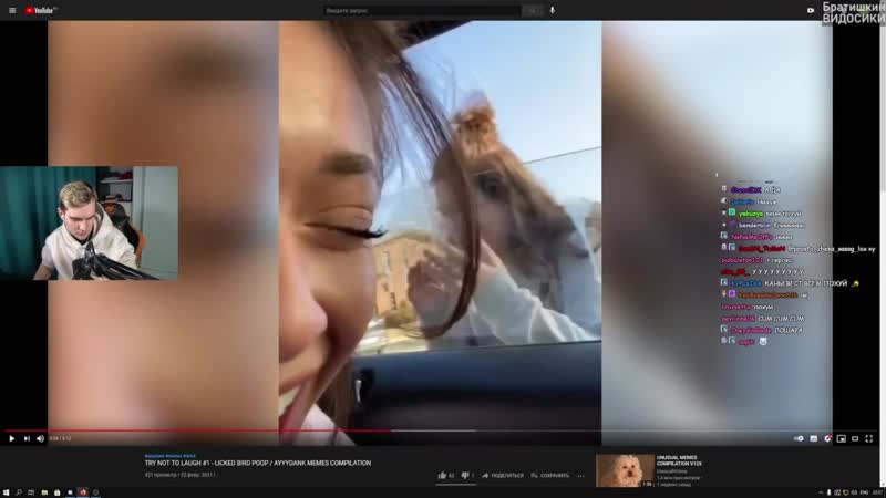 Laugh porn video – [братишкин видосики] братишкин смотрит | try not to laugh #1 licked bird poop / ayyydank memes compilation