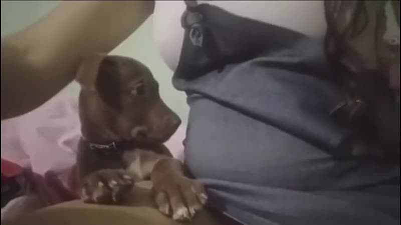 Shе сan sеnsе tiny human in bеlly