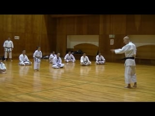 Jkf 全空連基本形 heian seminar by noboru kato 2017 05 20@nagaoka