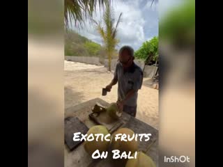 Exotic fruits yar on bali 2019 открываем кокос taman sari beach 🥥