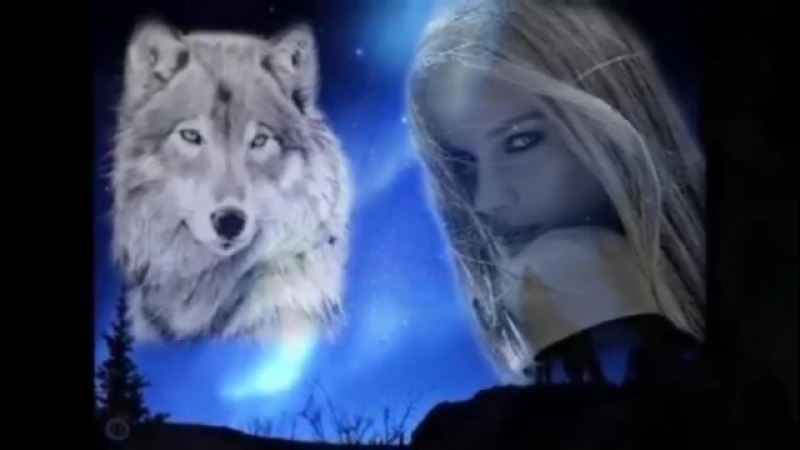 Волчицы вой исп эдуард хуснутдинов