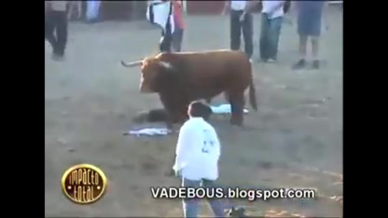 Адамға обал болды