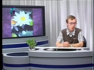 Биоэкология урок 8 температура, пожар и другие экологические факторы