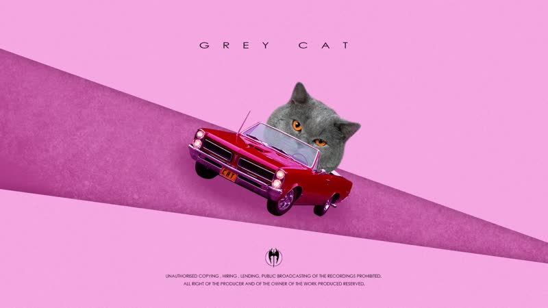 Joey bada$$ x mac miller | wichti x valery vlasov «grey cat» jazz / trap / smooth / 120 bpm / fm