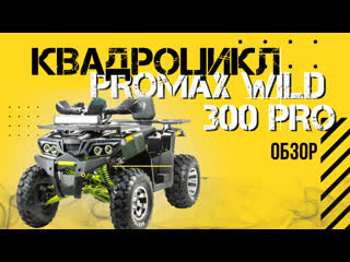 Полный обзор квадроцикла promax wild 300 pro от сети мотоцентров x motors