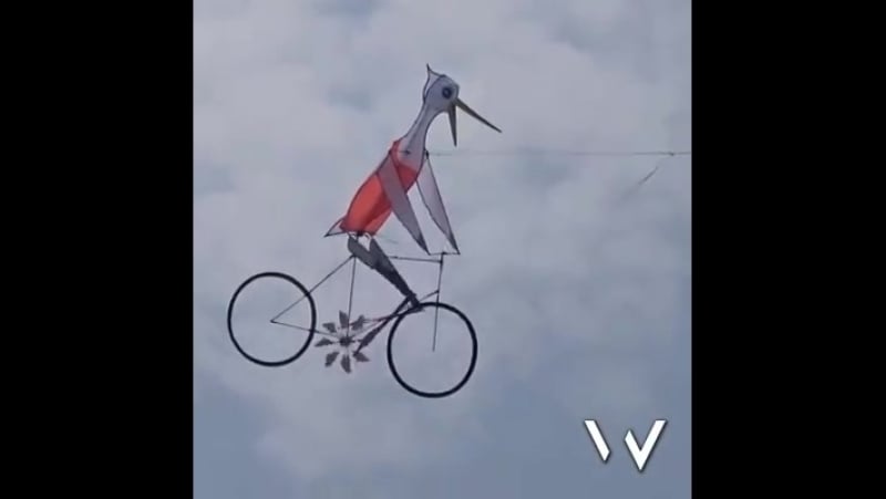 Полеты во сне и наяву или китайские воздушные змеи