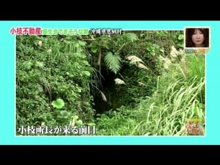 180120 doyou wa dameyo! #582