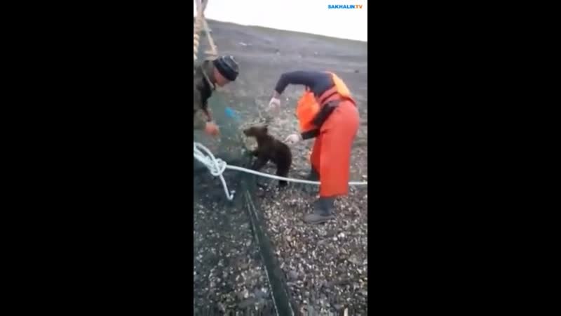 Рыбаки спасли мишку