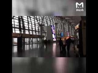 Полицейские тащат пьяненького гуляку во внуково