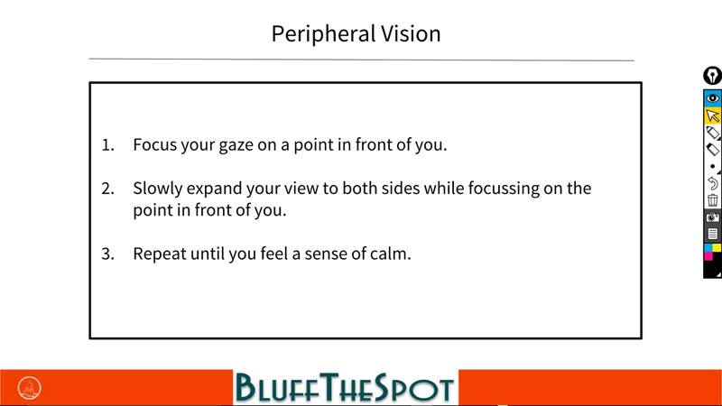 Bluffthespot mindset course by steffen rachut