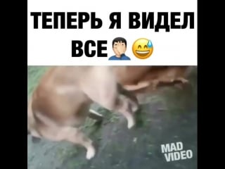 Молодые трахнул курицу