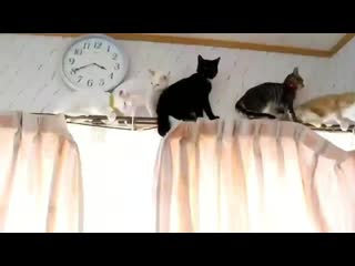 Jikook by porn ⁺¹⁸