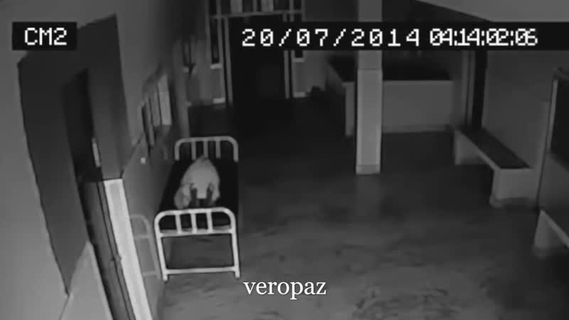 | запись со сьемки видеонаблюдения |