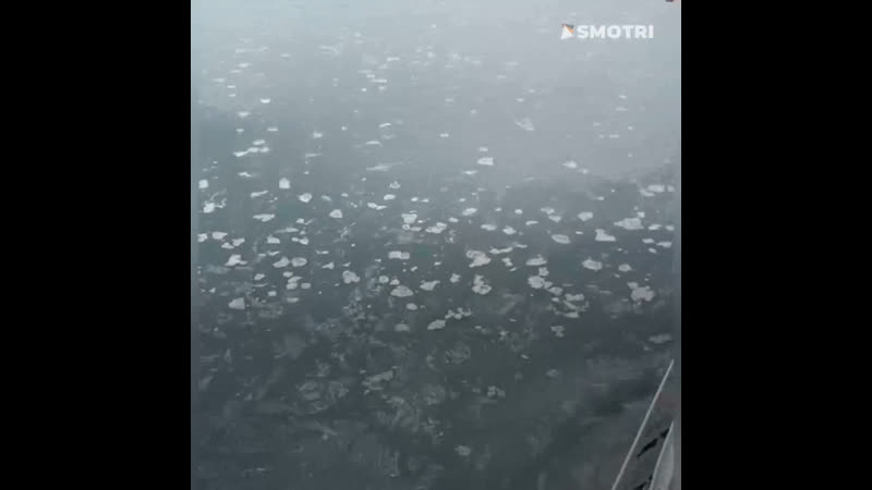 Экологическая катастрофа на байкале