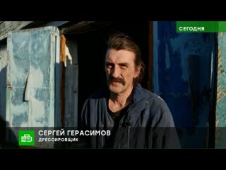 Безработные циркачи (2019) fhd