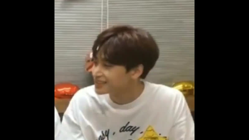 A little kitty star jungmo