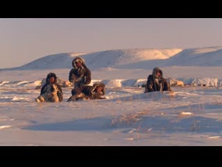 Книга тундры повесть о вуквукае – маленьком камне 2011