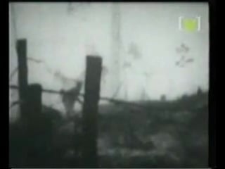 Dimmu borgir mourning palace