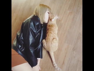 Arimiulovelovecat on instagram