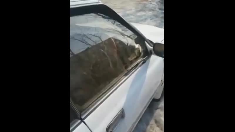 Боковые щётки