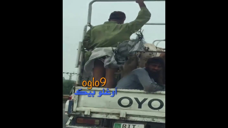 Üşüteceksin hacı / you will be sick