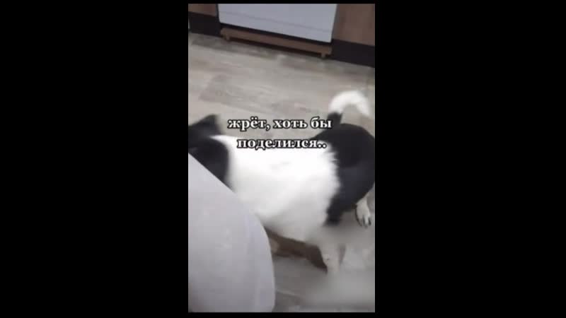 Уууу! жадина!!! 🤣