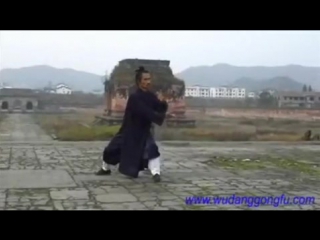 Wudang taiji 108 part 2 master yuan xiu gang (武当太极108式 第2段 袁修刚)