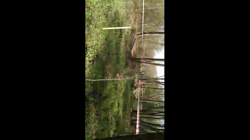 Live сообщество 4х4 рославль