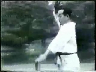 Shotokan karate kata unsu (m nakayama)