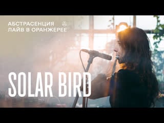 Solar bird @ abstrasension / абстрасенция 2023, orangery saint petersburg