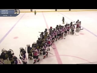 2007 шмели бобров