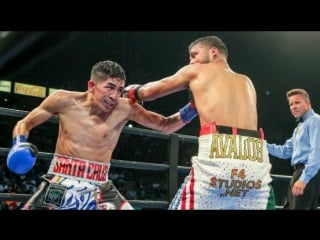 Leo santa cruz chris avalos