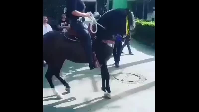Лошадь танцует ии угжок 😅