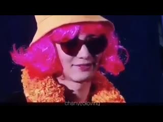 Exol video+instautility 00 b2rue5rau d 11 mp4