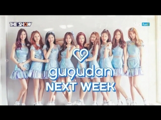 160628 [gugudan] (구구단) debut next week [더쇼] (the show)