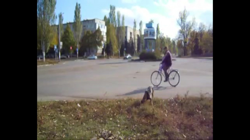 Доброполье porn video – Доброполье